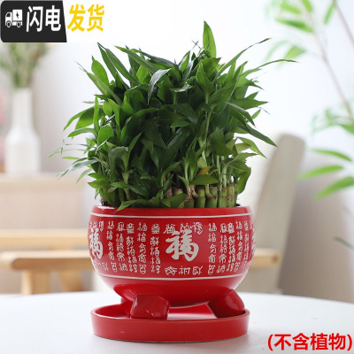 三维工匠红色万福花盆陶瓷室内大号带托盘吊兰创意简约绿萝多肉小花盆 三足万福盆-红色 大花盆容器