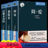 [正版]全3册简爱+茶花女+巴黎圣母院 中英文双语版英汉对照互译书籍 初中高中大学生课外阅读经典英文小说英语必读女生励