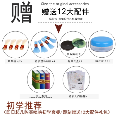 黑檀乌木花梨木红白喜事唢呐乐器d调初学者全套成人吹喇叭入门黑檀乌木-降B调（黄铜碗）