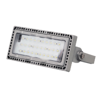 旭升(CXS)CGZF0106L IP65 AC220V 5000K LED投光灯 白色 50W