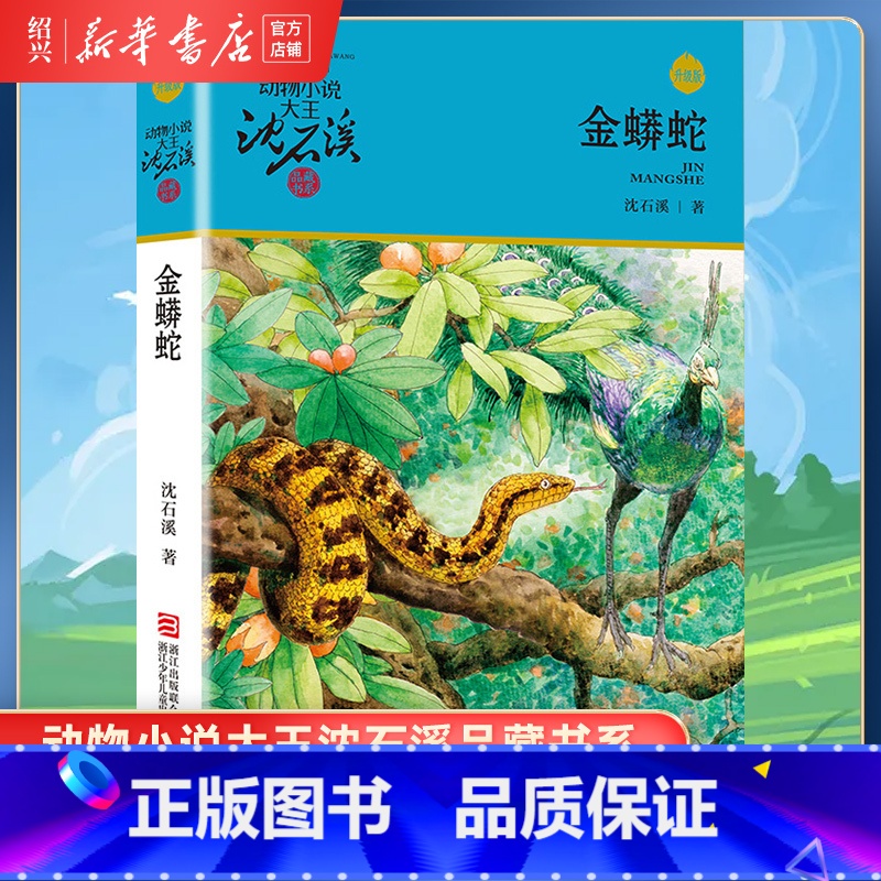 金蟒蛇 [正版]书店金蟒蛇 升级版 动物小说大王沈石溪品藏书系 小学三四五六年级课外阅读书籍动物小说 浙江少年儿童出版社