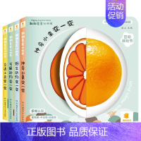 [全4册]双语翻翻变变认知书 [正版]翻翻变变认知书全4册幼儿启蒙早教书思维认知亲子互动翻翻游戏书中英双语益智儿童绘本0