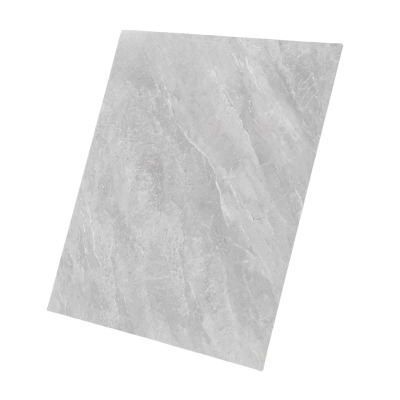 泽奋 瓷砖 600*600mm 块