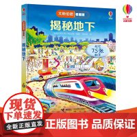 尤斯伯恩看里面 揭秘地下 科普翻翻书3d立体书3-4-5-6-10周岁宝宝儿童硬壳纸绘本 幼儿启蒙百科全书地球地理知识认