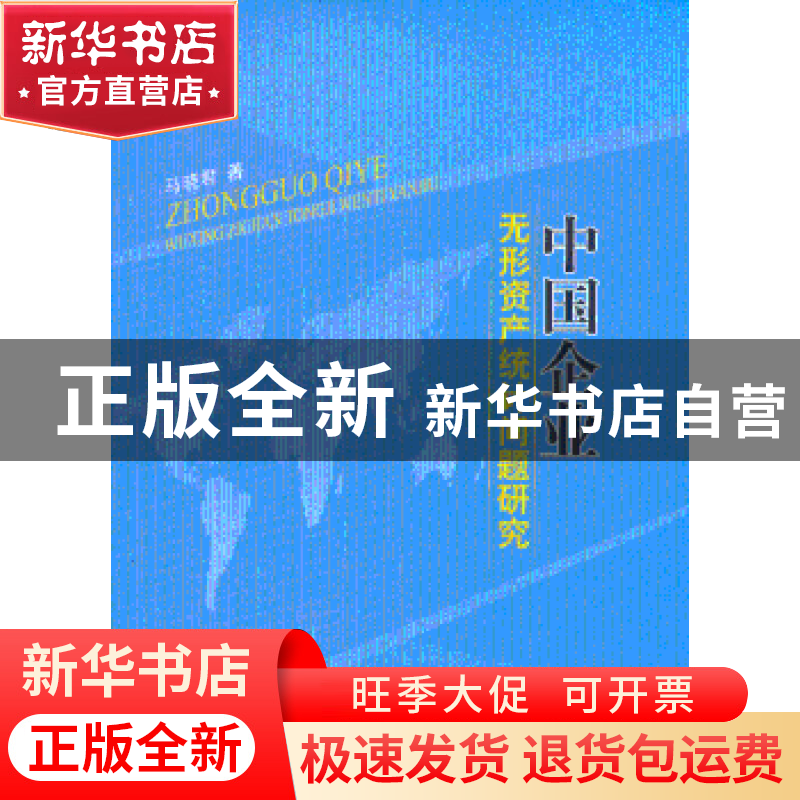 正版 中国企业无形资产统计问题研究 马晓君著 人民出版社 978701