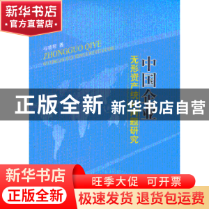正版 中国企业无形资产统计问题研究 马晓君著 人民出版社 978701