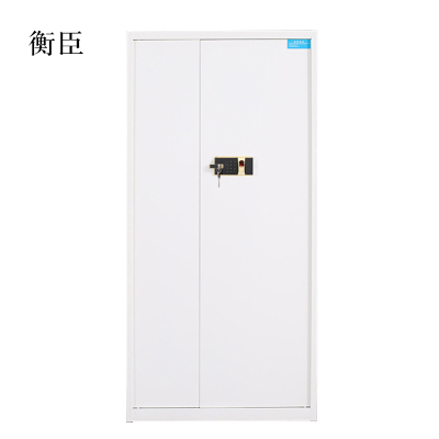衡臣保险柜铁皮资料柜矮柜办公室储物柜通门白色指纹锁900*420*1850