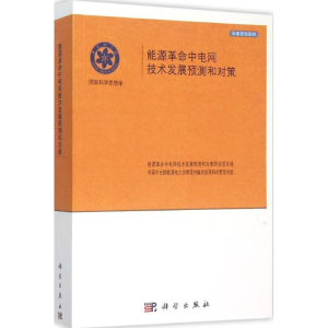 [M]能源革命中电网及技术发展预测和对策-9787030455369