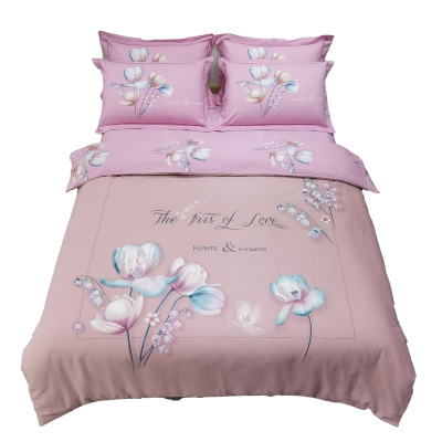 三水依梦磨毛四件套 200*230cm 套