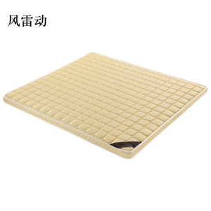风雷动椰棕床垫家用棕垫D6cm高密度款(织锦面料+高密度0胶水天然椰棕)1500mm*2000mm