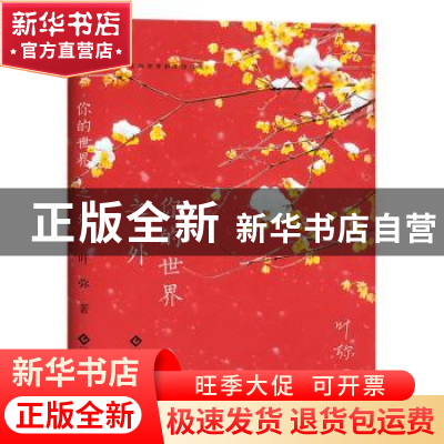 正版 你的世界之外 叶弥著 文化发展出版社 9787514229721 书籍