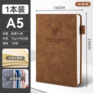真彩商务笔记本子a5超厚皮面新款记事本软皮质办公会议用记录本子