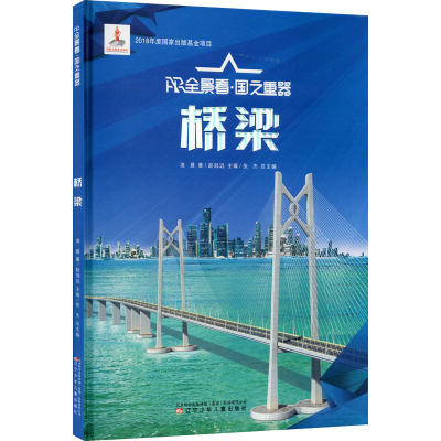 醉染图书桥梁9787531584056