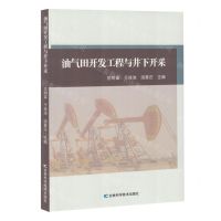 [N]油气田开发工程与井下开采-9787574407497