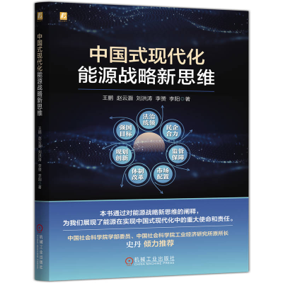 正版新书]中国式现代化能源战略新思维王鹏 等 著 著97871117958