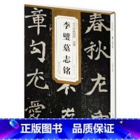 [正版] 北魏李璧墓志铭 历代碑帖 薛元明编 附译文 附技法解析 楷书毛笔字帖 安徽美术出版社 李壁书法图书书籍