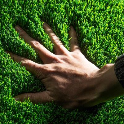 加密人工草坪塑料草坪阳台假草皮幼儿园人造草坪仿真草坪地毯户外10MM加厚加密款/平米1米宽*1米长-