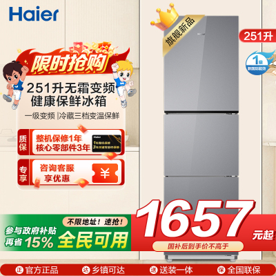 海尔(Haier) 251升无霜变频健康保鲜冰箱 简美三门 自然新鲜 一级变频 黑金净化BCD-251WGHC3E7AS
