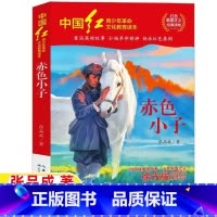 赤色小子 [正版]赤色小子张品成著红色经典爱国主义教育读本非注音版小学生版二年级下册三四五六年级上下册通用徐光耀长江少年