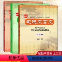 走进文言文6789年级(套装3本) 初中通用 [正版]全套3本走进文言文课外阅读与训练六七八九年级杨振中初中文言文全解一