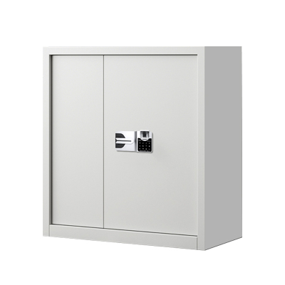 东升顺指纹电子保密柜钢制密码文件柜档案柜办公柜矮柜保密资料柜单节白色国保指纹