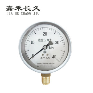 嘉禾长久 膜盒压力表检测型 YE100 块