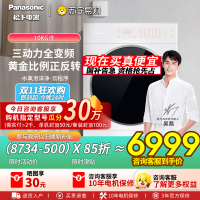 松下(Panasonic)[吴磊同款]白月光Queen女王款 10kg变频热泵烘干机 家用干衣机 全变频NH-X1FR6