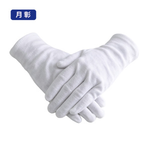 月彰交流电流表YZDB-111/个