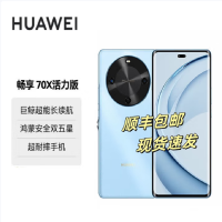 华为 畅享70X 活力版 256GB 冰晶蓝 支持北斗卫星消息 巨鲸6100电池 40W快充 4G双卡 双五星超耐摔华为鸿蒙手机