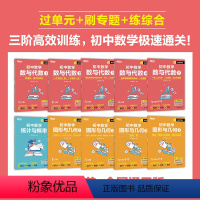 数与代数2 七年级 初中通用 [正版]新东方高效训练初中数学 七年级八年级九年级中考数学刷题同步代数几何统计辅导资料中考