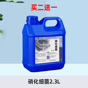鱼缸硝化细菌硝化菌养鱼用品水族净水剂活菌水质稳定菌王分解活性