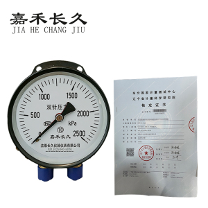 嘉禾长久 双针压力表(带辽宁省级检定证书)YCS100 1.0级 台