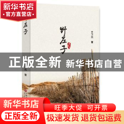 正版 野庄子 王卫民 中国文联出版社 9787519035228 书籍