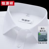 恒源祥莫代尔衬衫男装长袖2024春季新款商务休闲蓝色条纹免烫衬衣