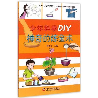 正版新书]神奇的炼金术段伟文9787110086438