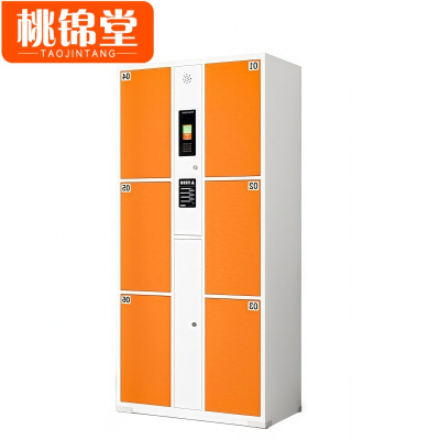 桃锦堂智能寄存柜