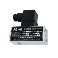 钟伯 压力控制器 TL0522 10-224066 个