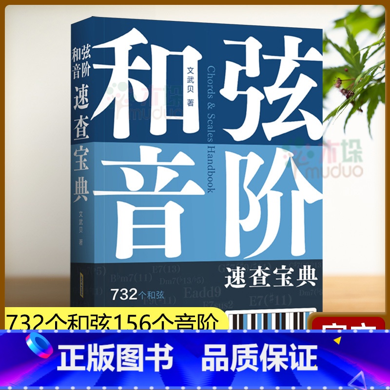 和弦、音阶速查宝典 [正版] 和弦音阶速查宝典 文武贝 超全和弦音阶多维图表 采用六维和弦表四维音阶表 查音阶