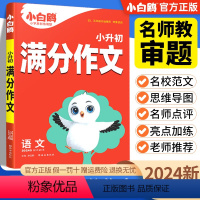小升初满分作文 小学通用 [正版]2024版 小白鸥星空小升初数学易错题四五六年级刷题练习题知识点汇总思维强化训练小学毕