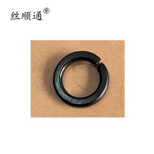 丝顺通 弹簧垫圈 Φ20/个