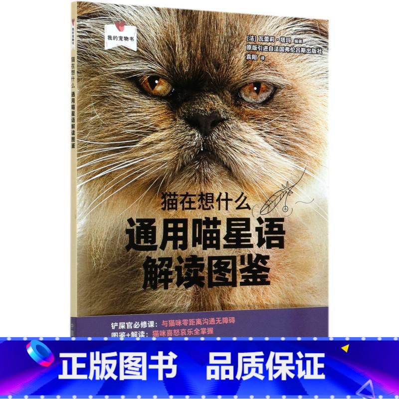 [正版]猫在想什么(通用喵星语解读图鉴)/我的宠物书