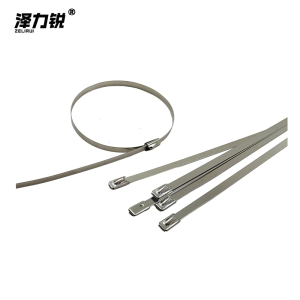 泽力锐 不锈钢扎带 4.6x450mm 根