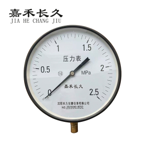 嘉禾长久 压力表检测型 Y250 块