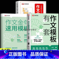 [全套3册]作文模板有一套+作文金句1000句 小学通用 [正版]作文模板有一套小学生一二三四五六年级同步写作技巧方法作