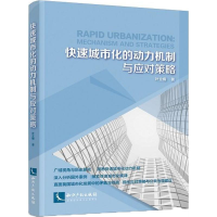 音像快速城市化的动力机制与应对策略叶立梅 著