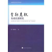 正版新书]金融危机形成机理研究刘朝阳9787514157345