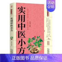 [正版] 实用中医小方 养生大系家庭实用百科全书 生活常备良方中医传统经典实用的小偏方大全秘方常见病小方偏方治大病书