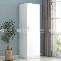 鑫星奈 阳台柜单门衣柜钢制储物柜铁皮柜 白色单门衣柜500mm宽