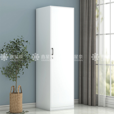鑫星奈 阳台柜单门衣柜钢制储物柜铁皮柜 白色单门衣柜500mm宽