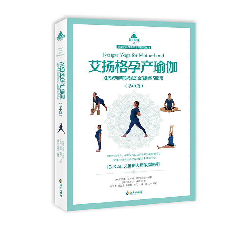 音像艾扬格孕产瑜伽